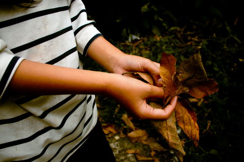 Free stock photo of aesthetic, autumn, connection Stock Photo