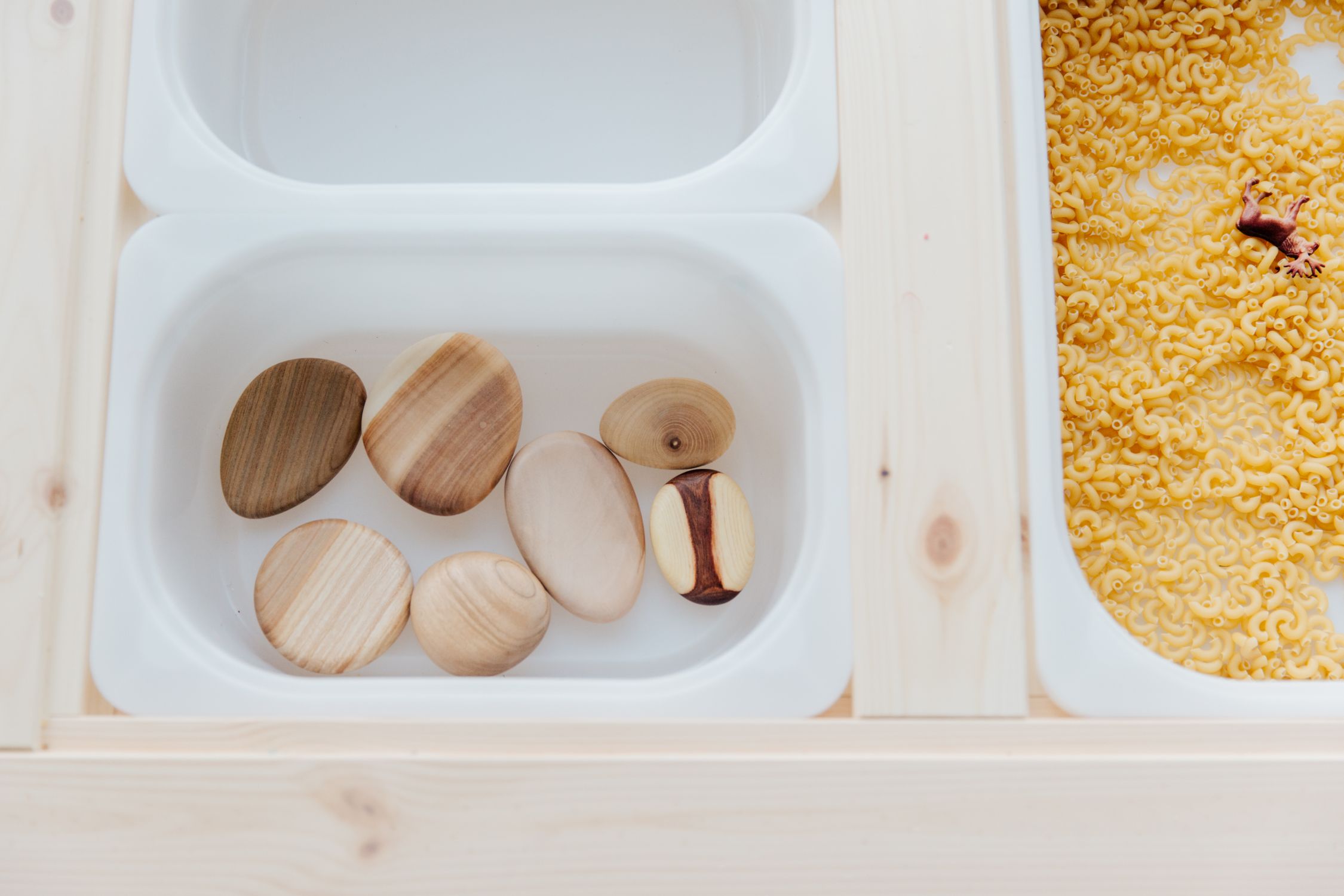 Plateaux de tri contenant des pâtes, des cailloux et des objets en bois pour une activité sensorielle Montessori.