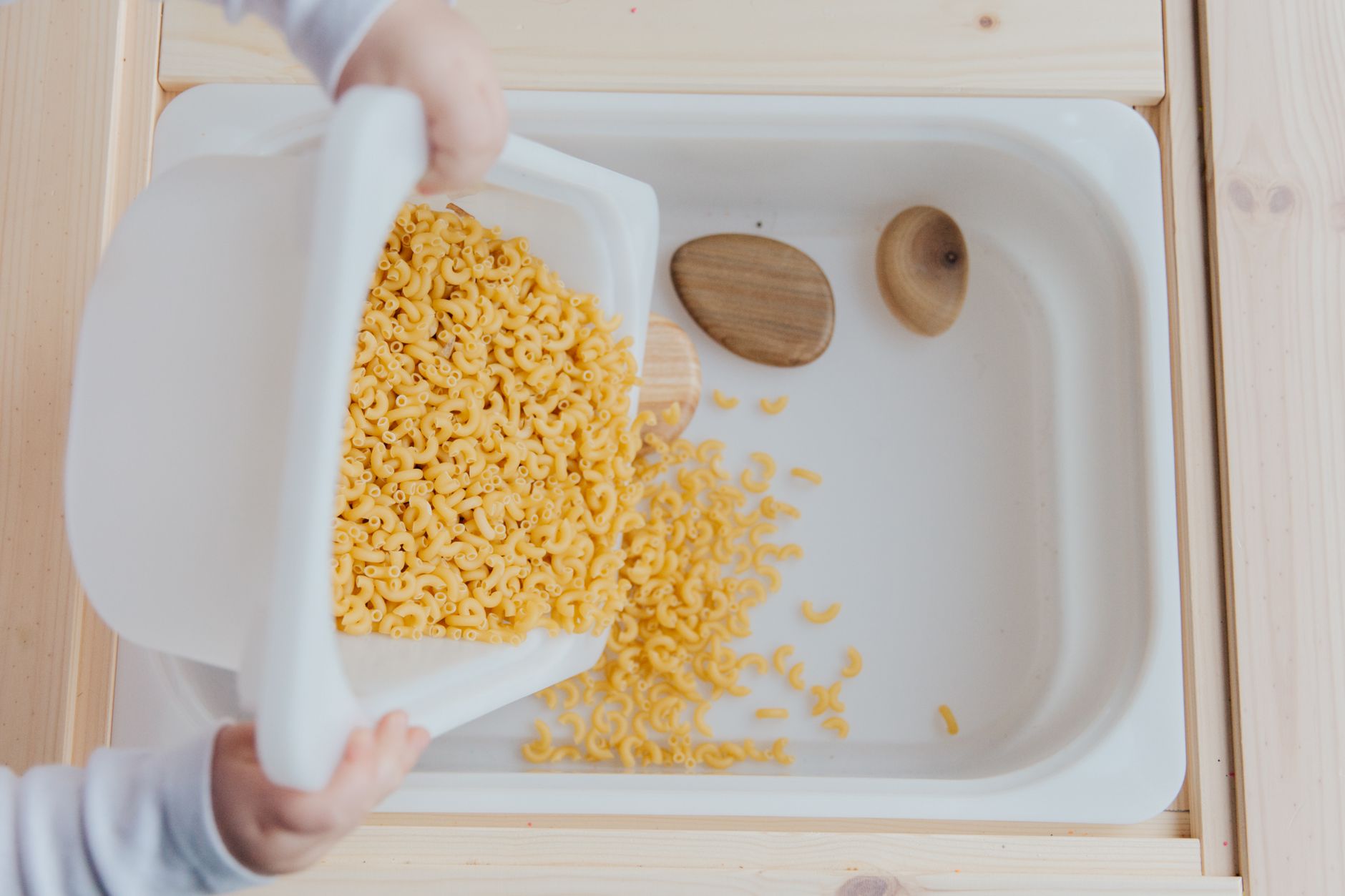 five senses lesson plan