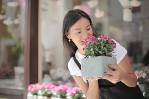 Free Photo Of Woman Holding Pot Of Flowers Stock Photo