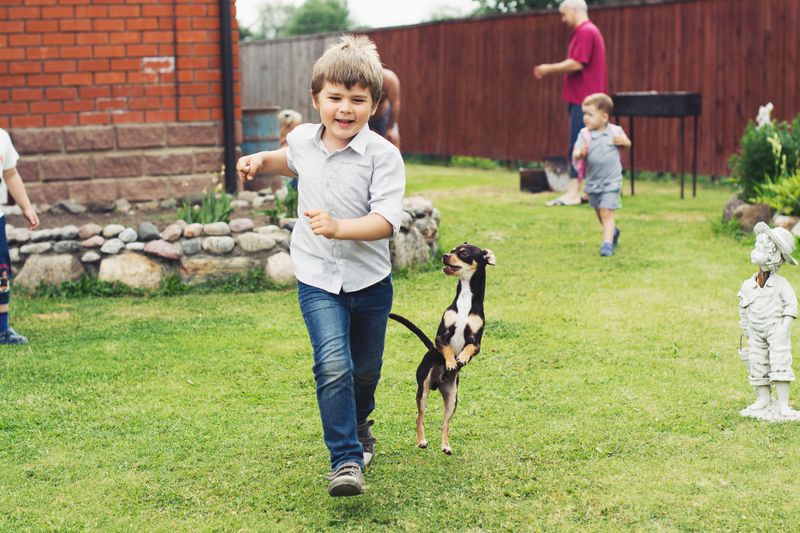 Family and dog enjoying a clean Summerville backyard