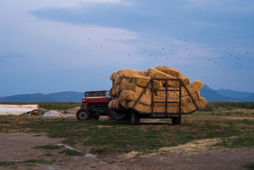 Free A tractor loaded with hay bales in the rural landscape of Türkiye at dusk. Stock Photo