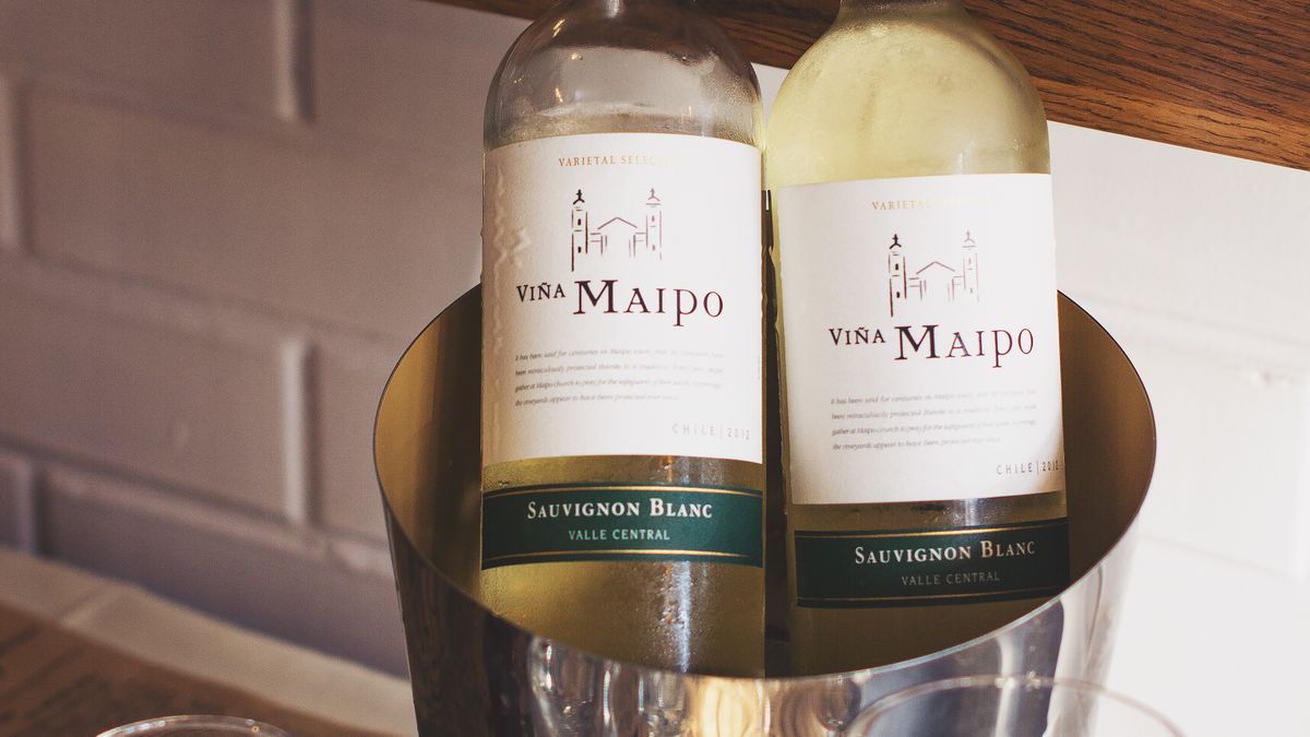 Dégustation de vins naturels : comment les appréhender en 2026