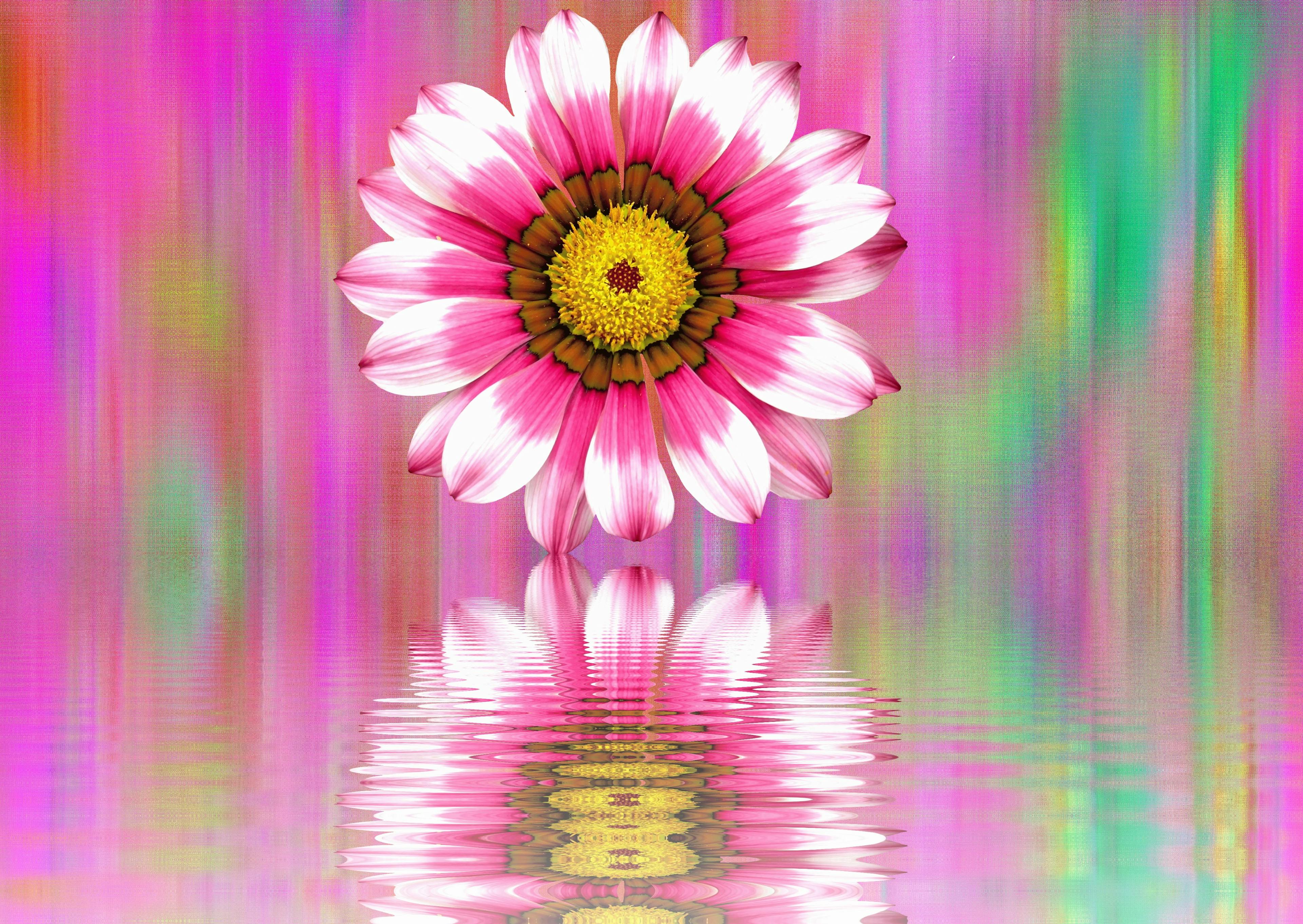 【2026年3月更新】収入保障保険 年収逆転夫婦の不足額3ステップ|設計基準