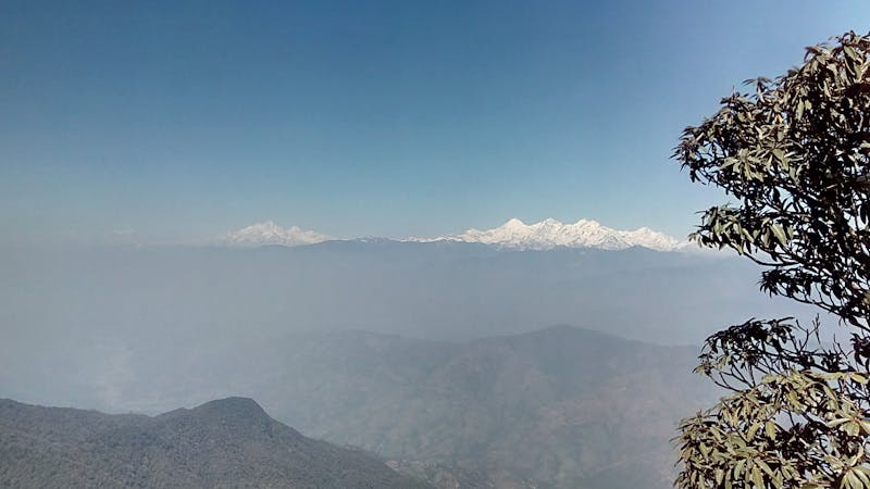 건강 목적 이미지