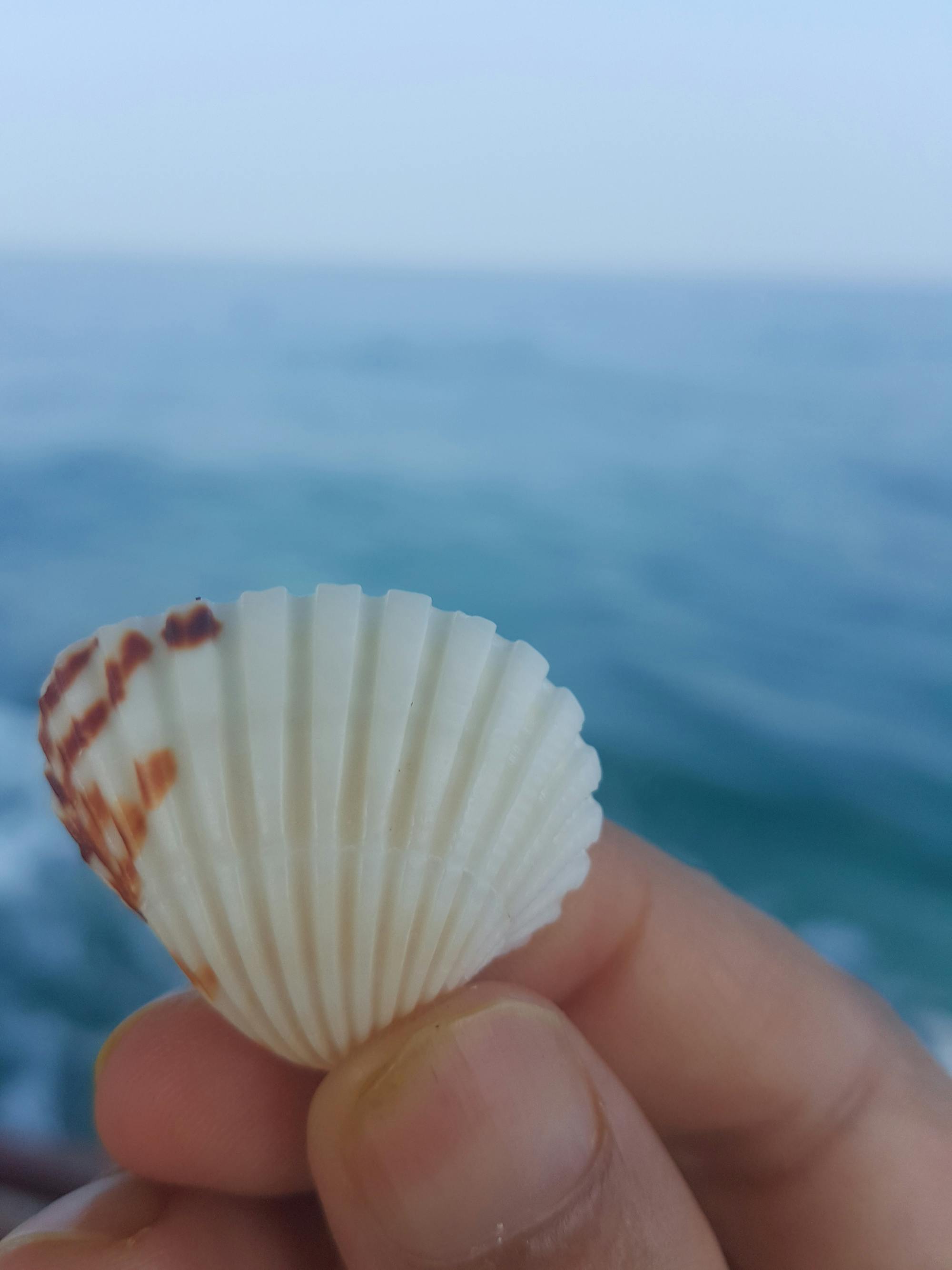 Woman with clean cookstove