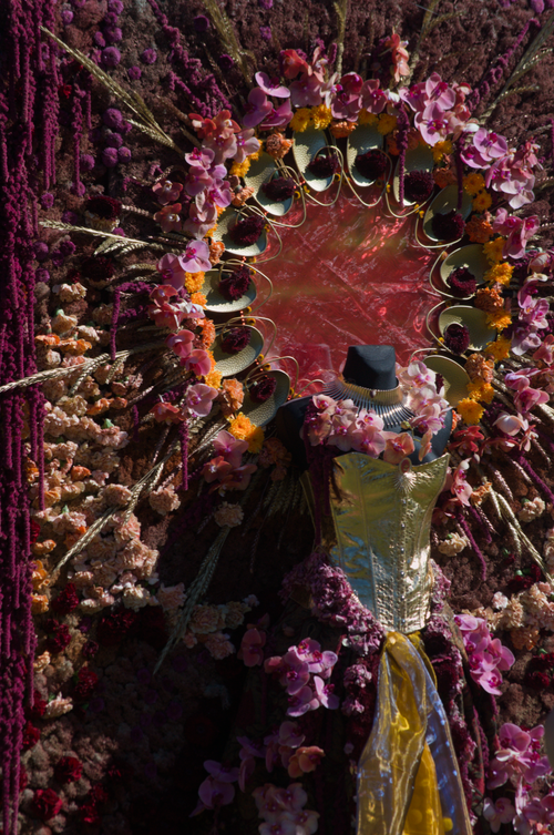 Free stock photo of art, flower art Stock Photo