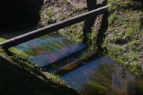 Free stock photo of abstract water Stock Photo