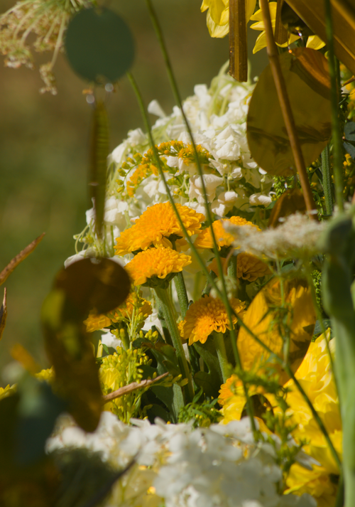 Free stock photo of abstract, aesthetic flowers, close up photos Stock Photo
