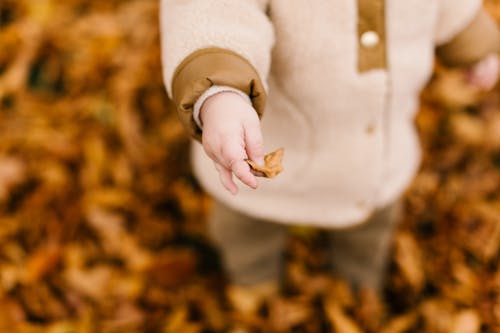 Child in Brown Sweater Holding Brown Dried Leaf