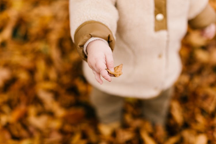 Child In Brown Sweater Holding Brown Dried Leaf