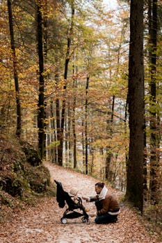 秋天，一位父亲跪在婴儿车旁，沿着一条树木繁茂的小路