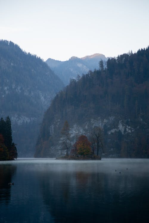 Kostenloses Stock Foto zu abenteuer, aussicht, baum