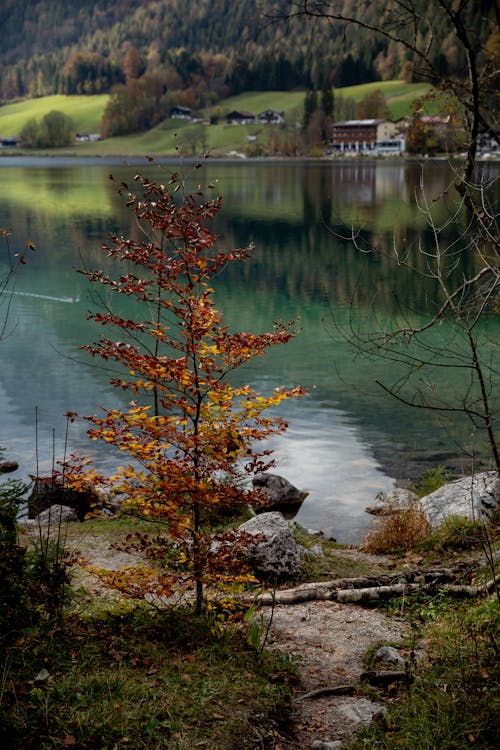 Calm lake reflecting hill and forest