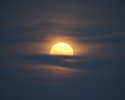 Free A warm, glowing moon partially obscured by thin clouds at night. Stock Photo