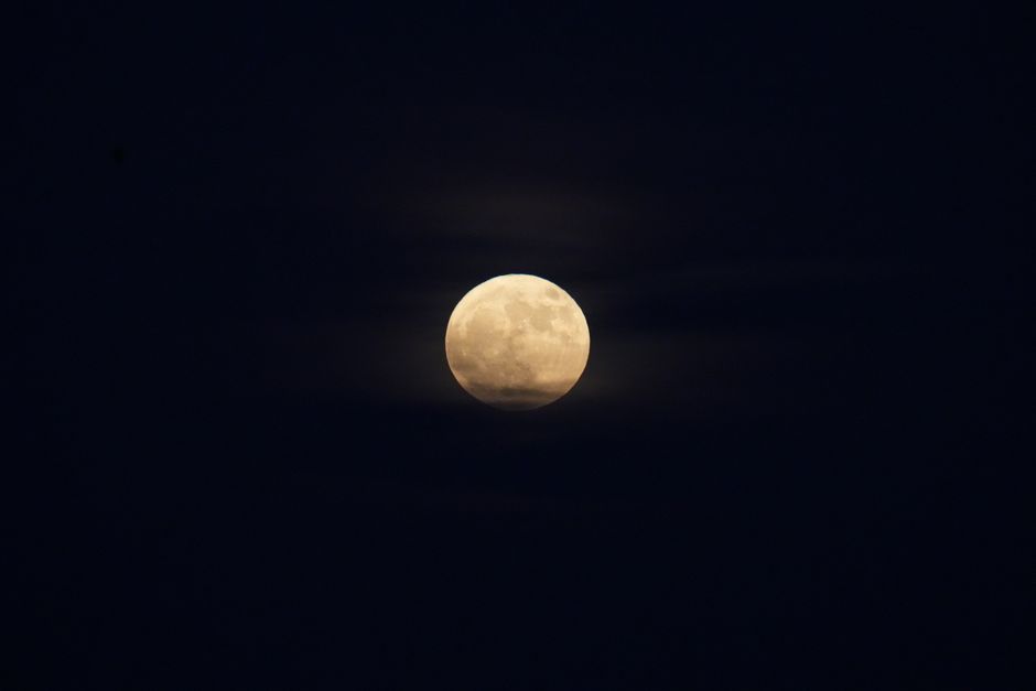 Fotomural Una luna llena luminosa rodeada por un cielo nocturno oscuro y despejado, que ofrece una serena vista celestial.