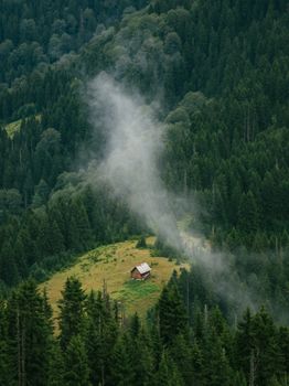 A serene cabin nestled amidst the dense forests of Rize, Türkiye, enveloped in mist.
