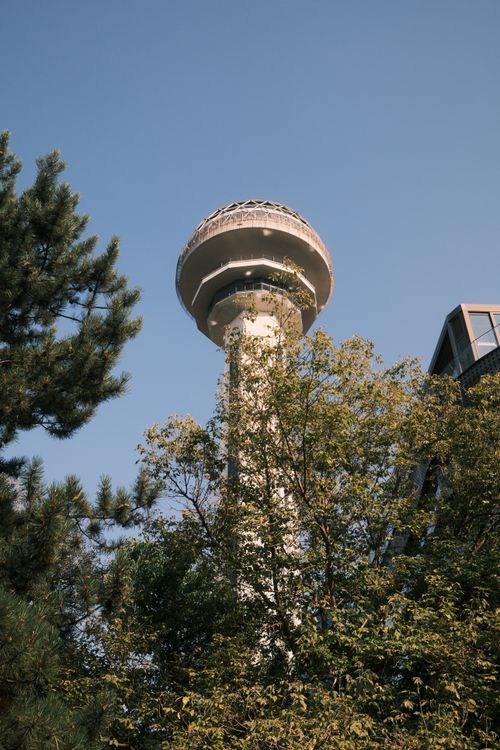 Free A tall observation tower rising above lush green trees under a clear blue sky. Stock Photo