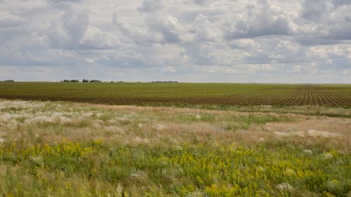 Free Wide view of a rural landscape with green fields under a cloudy sky, showcasing nature's vastness. Stock Photo