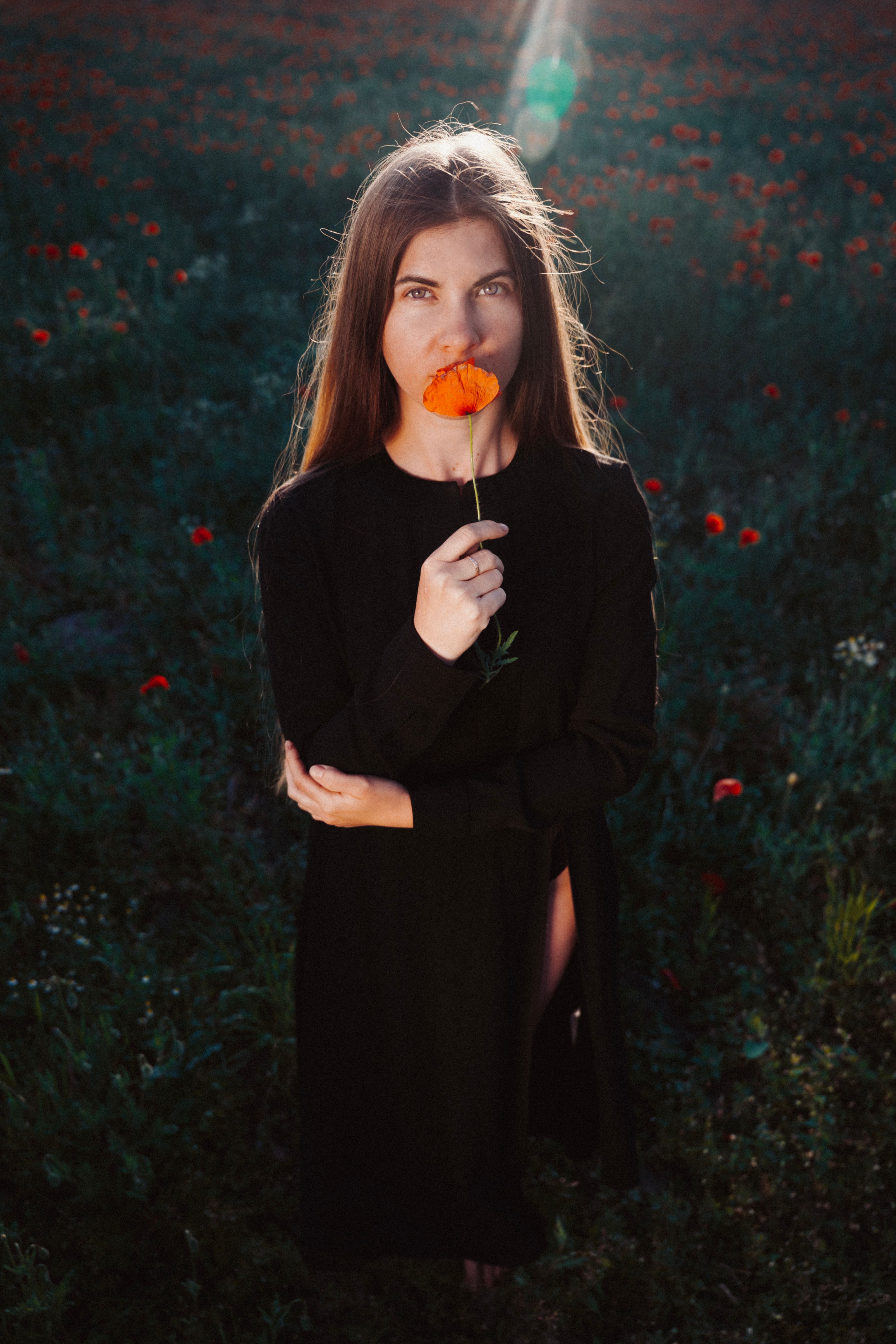 Young woman holding a poppy flower in a sunny field, exuding beauty and serenity.