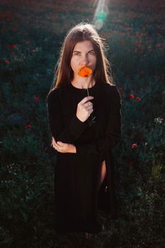 Young woman holding a poppy flower in a sunny field, exuding beauty and serenity.