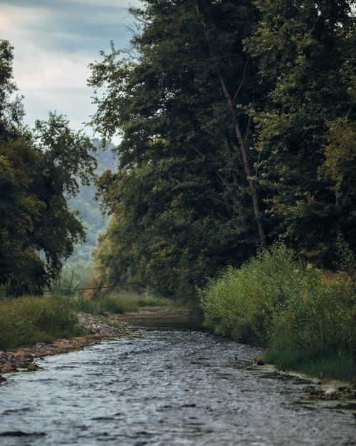 Free Tranquil river flowing through dense, lush forest, perfect for nature enthusiasts. Stock Photo