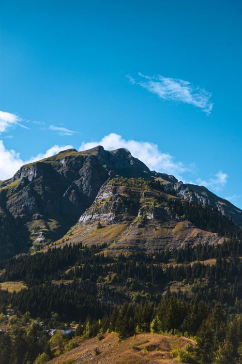 Free Discover the breathtaking mountain views and lush forests of Artvin, Türkiye. Stock Photo