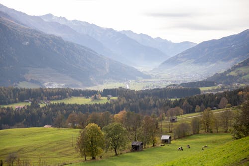 Green Grass Field Near Green Mountains