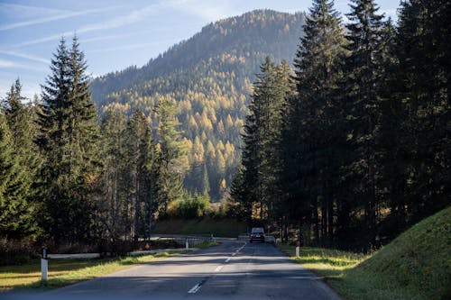 Gray Concrete Road Between Green Trees Near Mountain