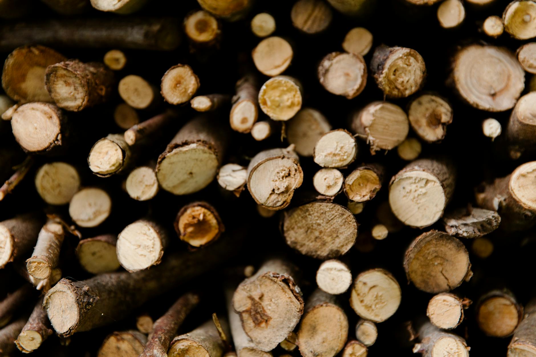 Detailed view of stacked chopped firewood logs showcasing texture and natural patterns.