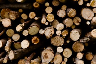 Close-up of stacked chopped firewood showing split log ends drying
