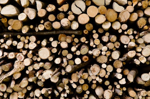 Pile of Brown Wood Logs