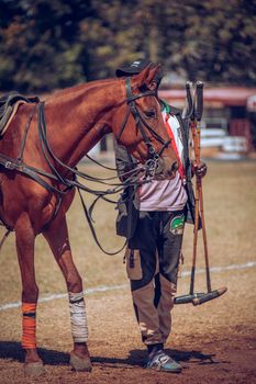 A polo player standing with a horse holding polo mallets on a grassy field.