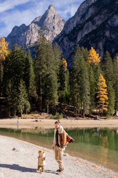 秋日山湖宁静，父子漫步落叶间，场景令人心动