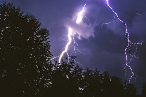 Free Lightning Strike on Forest during Night Time Stock Photo
