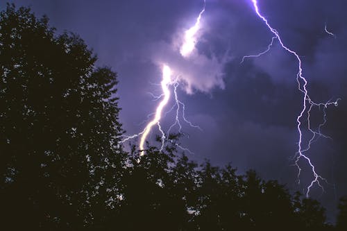 Coup De Foudre Sur La Forêt Pendant La Nuit