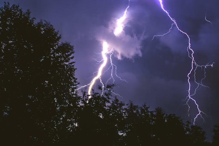 Lightning Strike On Forest During Night Time