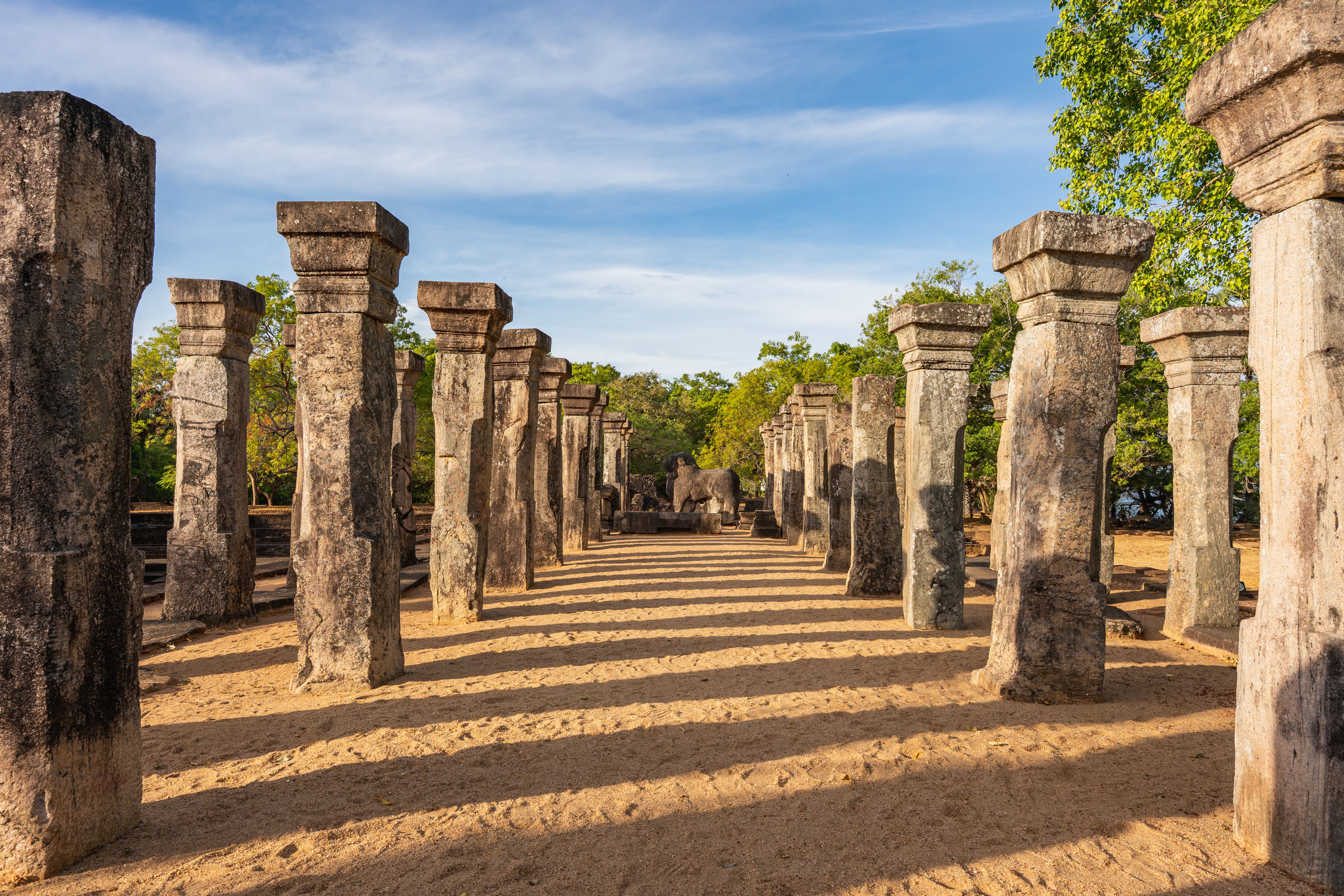 Sri Lanka wildlife – leopard, elephants and peacock in golden hour