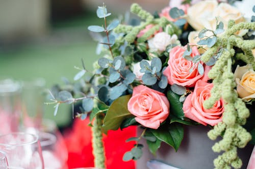 Free Close-Up Photo Of Pink Roses Stock Photo