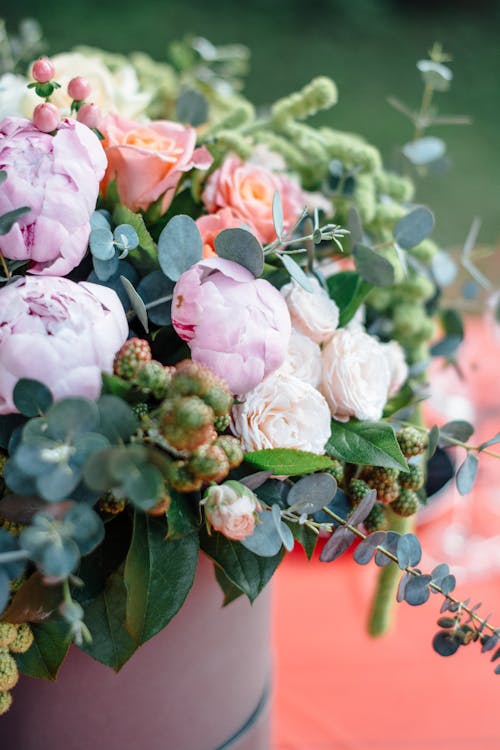 Rosas Rosadas En Flor