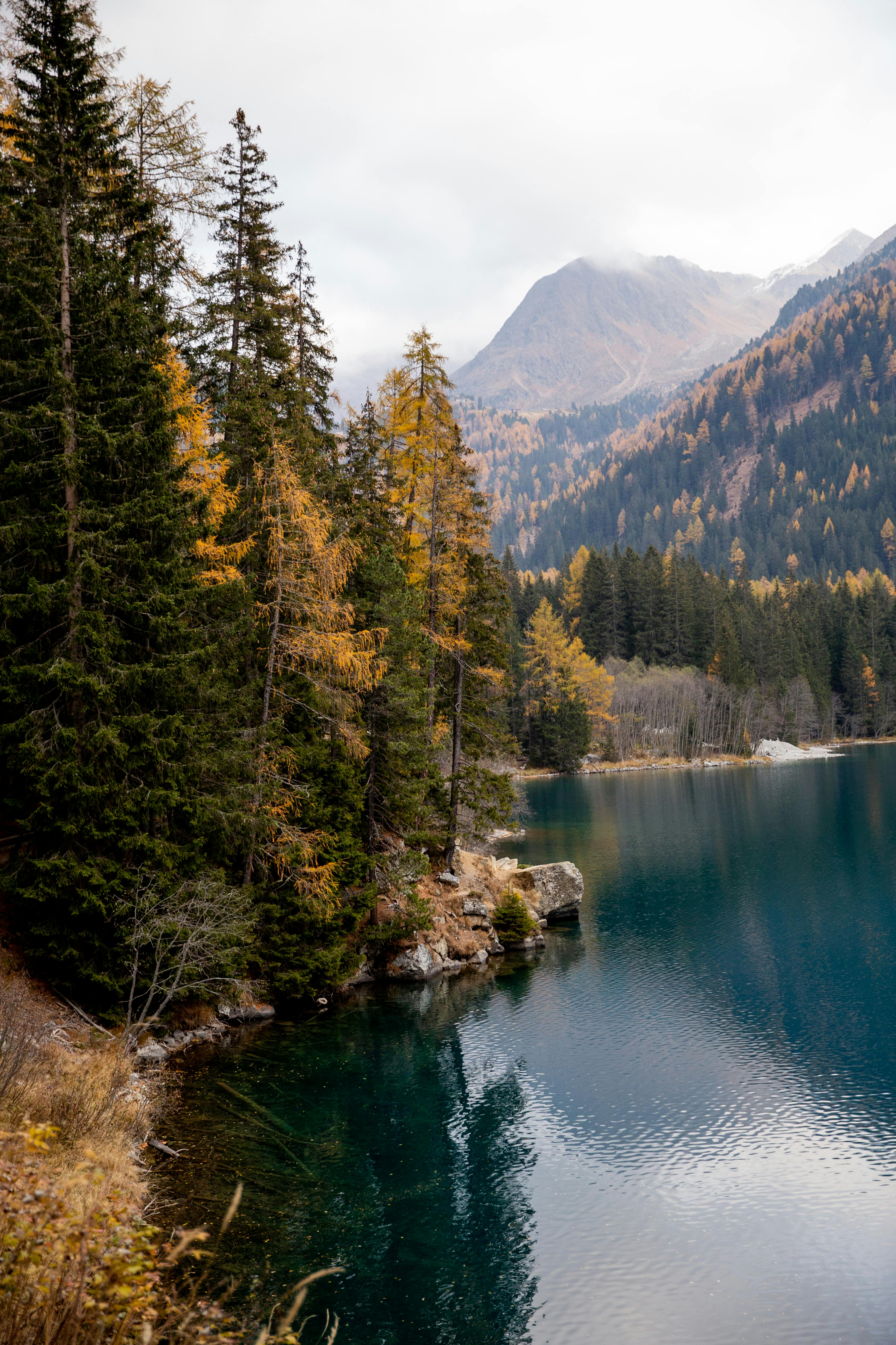 Stunning view of a serene lake surrounded by autumn trees and mountain scenery, reflecting nature's beauty.