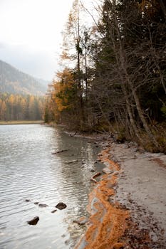 宁静的湖畔与秋日的树木倒映在平静的水面上