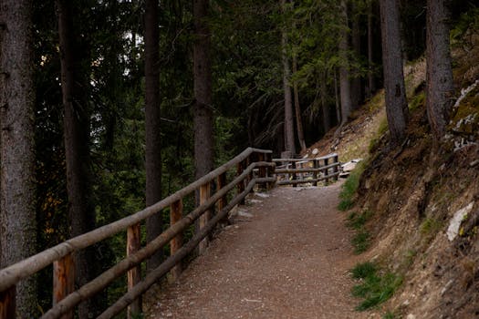Scenic forest trail with a wooden fence, perfect for hiking and exploring nature.
