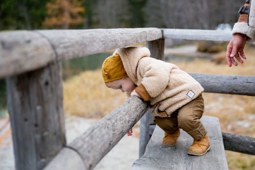 一个可爱的蹒跚学步的孩子，在秋天的一天里，穿着温暖的外套，在户外探索一道木栅栏