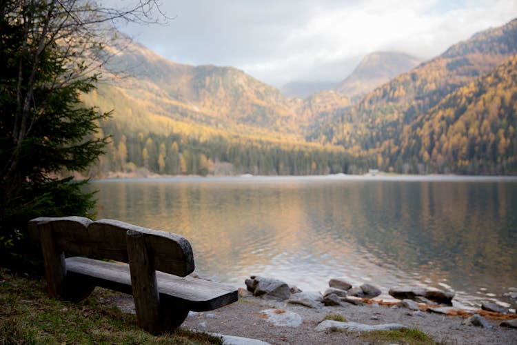 Brown Wooden Bench Near Lake