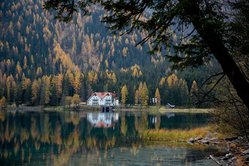 Picturesque view of lake and forest in mountains