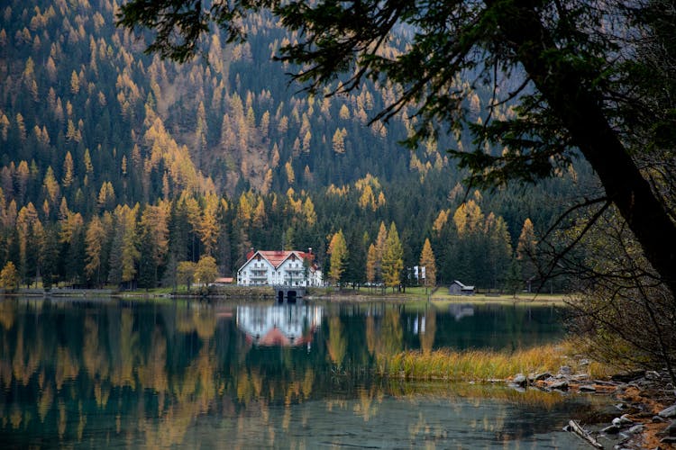 Picturesque View Of Lake And Forest In Mountains