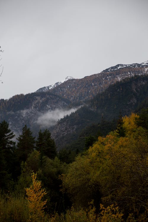 Бесплатное стоковое фото с гора, деревья, дым