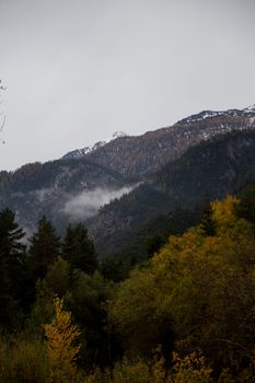 薄雾笼罩的山景、秋天的森林与变幻的天空，共同展现了大自然的美丽