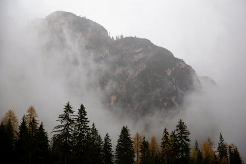 Photo Of Pine Trees Near Rocky Mountain